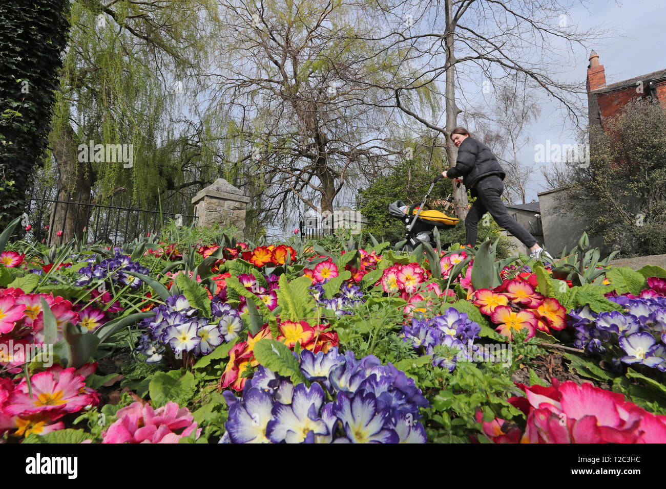 Des fleurs en pleine floraison à l'entrée à Ranelagh Gardens Park à Dublin Banque D'Images