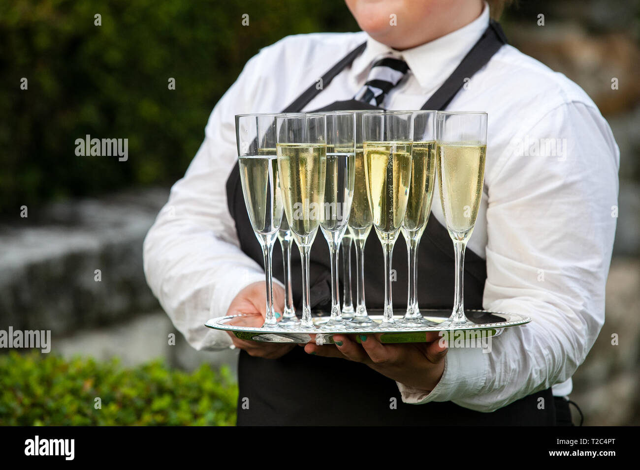 Un waiter holding un bac rempli de boissons pendant un mariage ou un autre événement spécial Banque D'Images