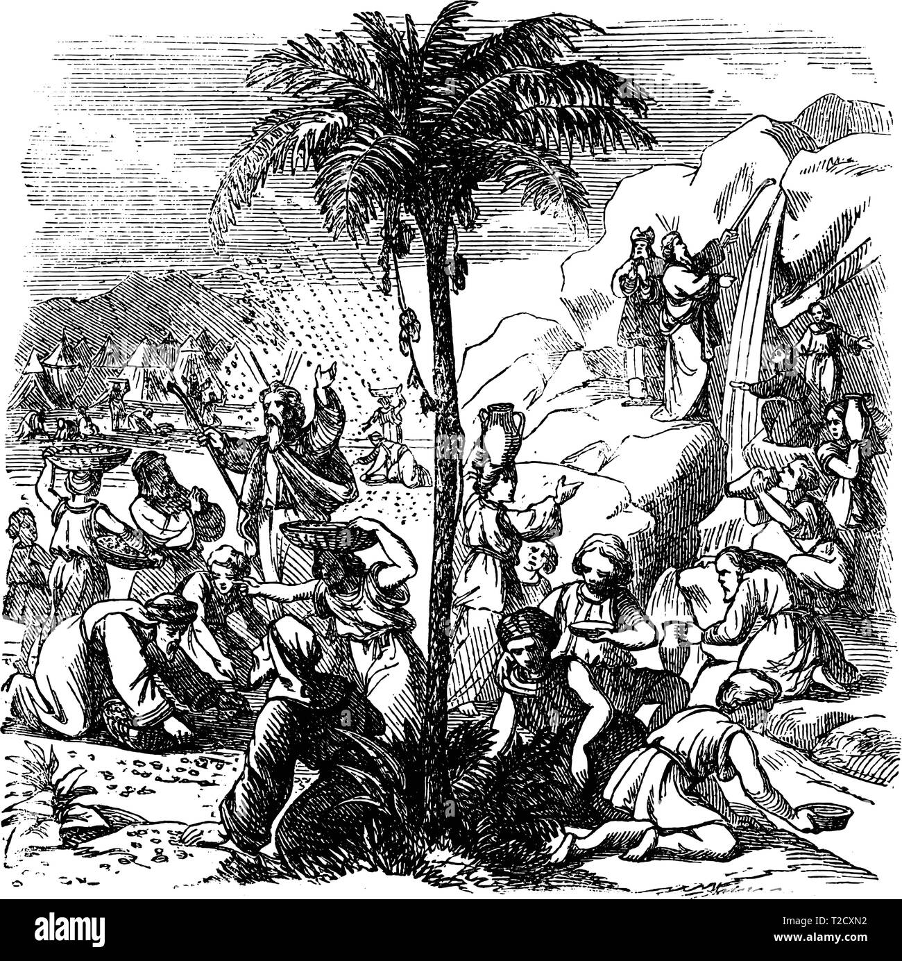 Antique Vintage illustration et dessin ou gravure d'histoire biblique de miracles de la manne et l'eau se trouvant dans le désert ou désert.De Biblische Geschichte des Alten und neuen Testaments, Allemagne 1859.Exode 16 -17. Illustration de Vecteur
