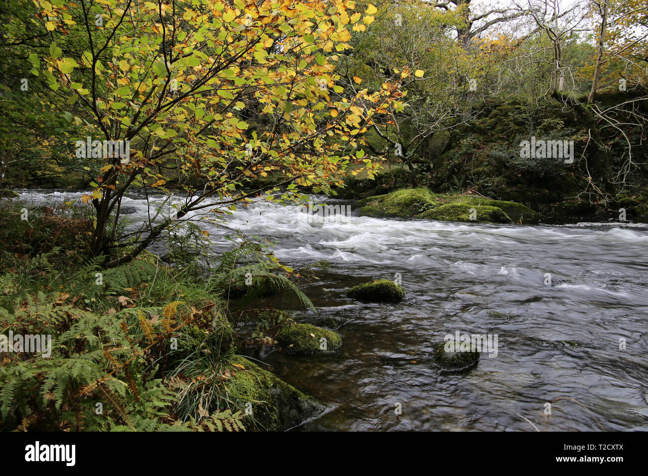 Rothay River, Lake District Banque D'Images