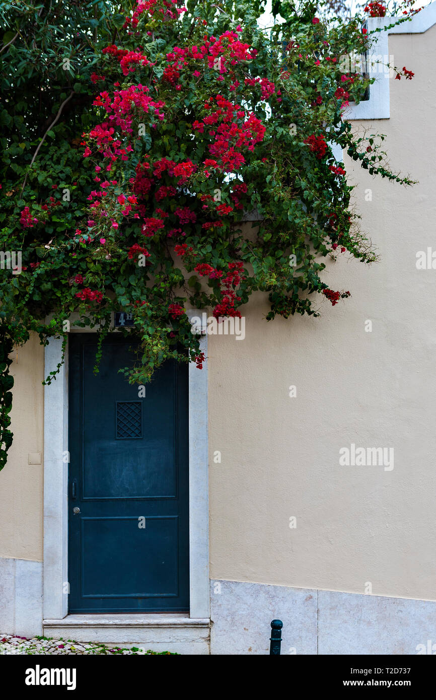 Fleurs rouge et bleu porte, Rua da Fala-só, São José, Lisbonne, Portugal Banque D'Images