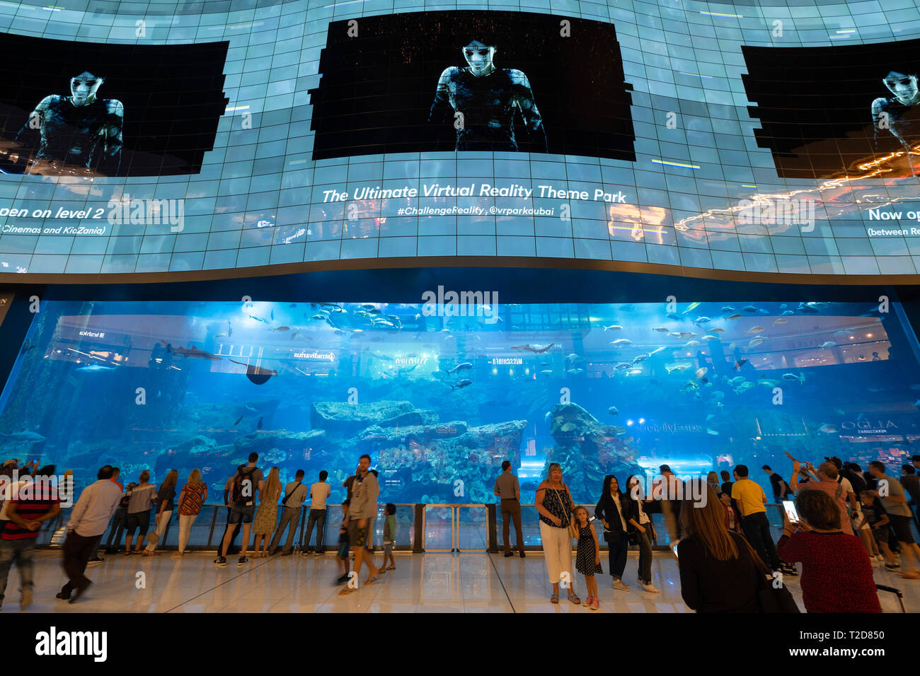 Grand aquarium au centre commercial de Dubaï, Dubaï, Émirats Arabes Unis Banque D'Images