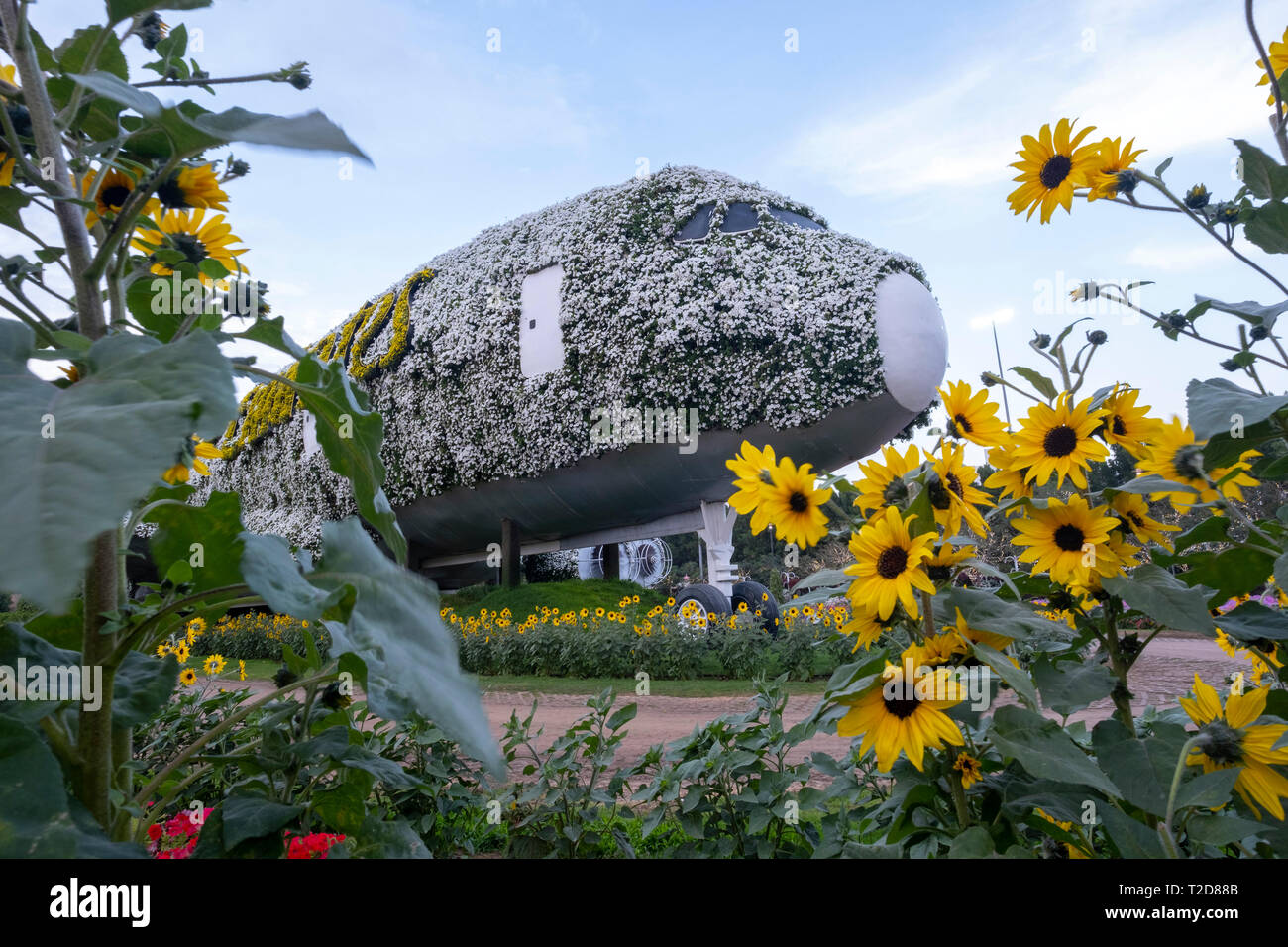 Bordée de fleurs unis avion à l Jardin Miracle, Dubaï, Émirats Arabes Unis Banque D'Images