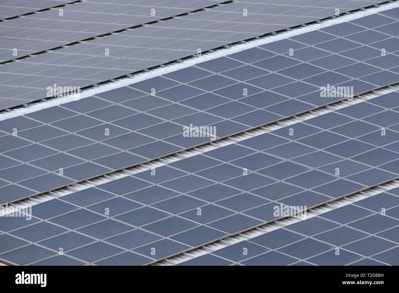 Panneaux solaires sur une centrale photovoltaïque Banque D'Images