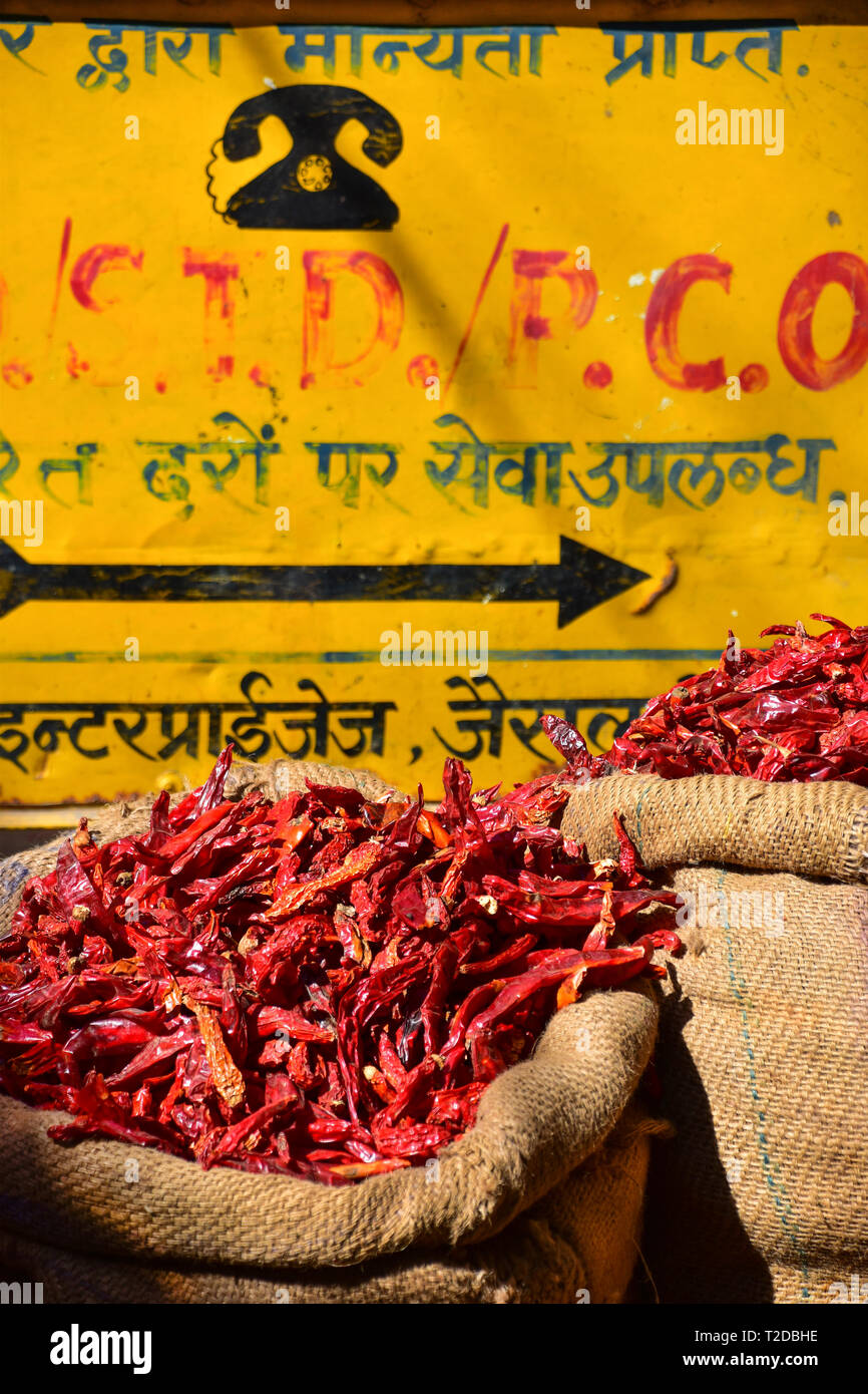 Piments rouges séchés dans des sacs, fort de Jaisalmer, Jaisalmer, Rajasthan, India Banque D'Images