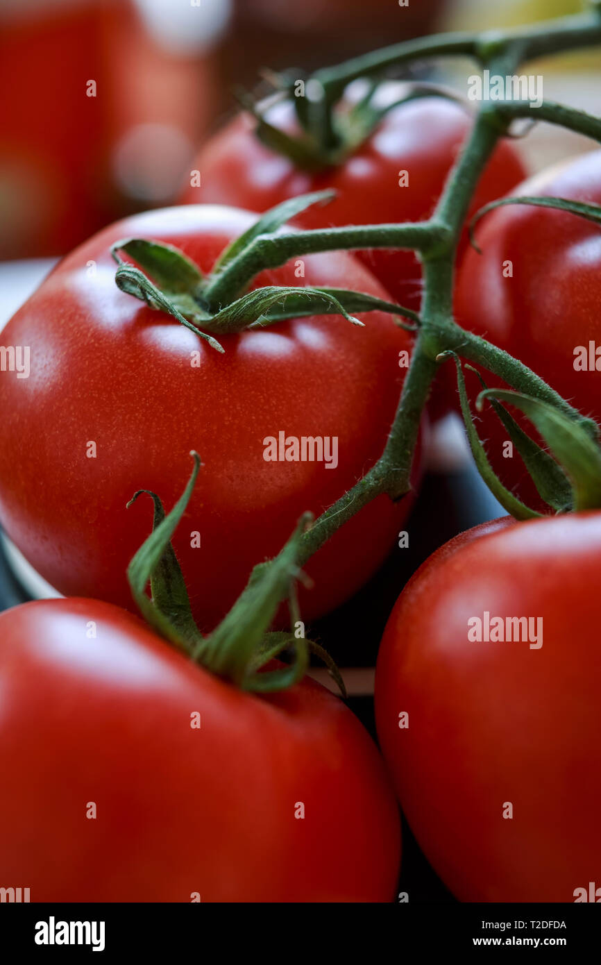 Close up of vine tomatoes Banque D'Images