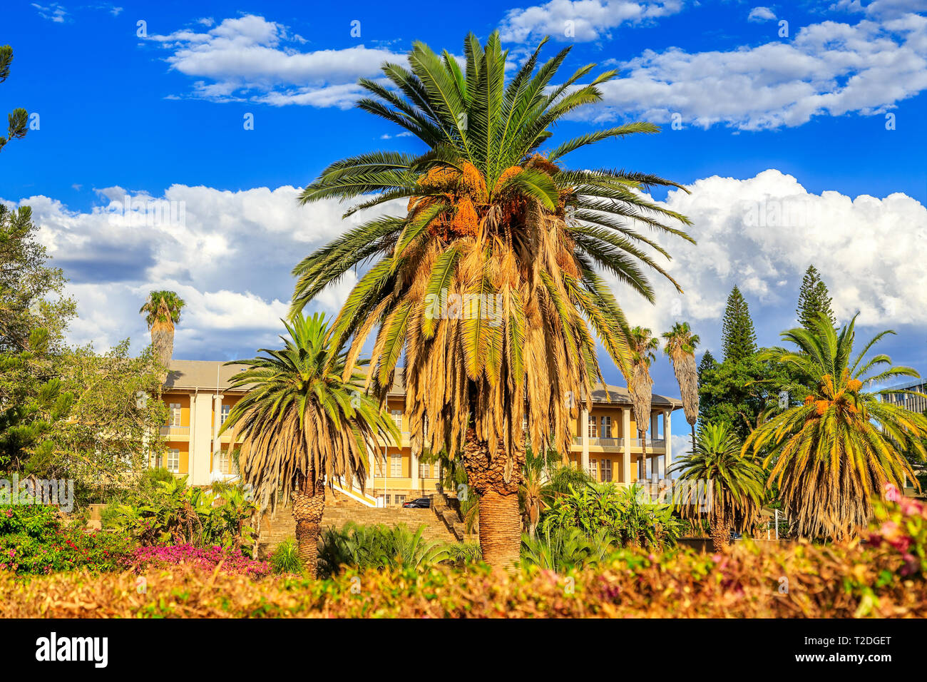 Parc et jardin avec bâtiment Palais jaune caché derrière de grands palmiers, Windhoek, Namibie Banque D'Images