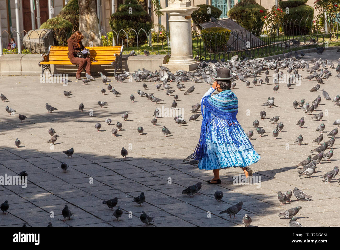 Femme cholita bolivienne en robe bleue et rétro hat marchant sur la place centrale de La Paz, Bolivie plein de pigeons Banque D'Images