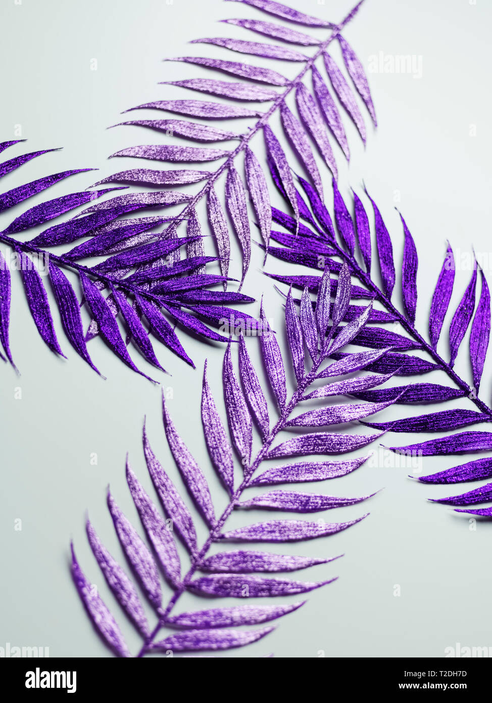 Feuilles pourpre peintures décoratives Banque D'Images