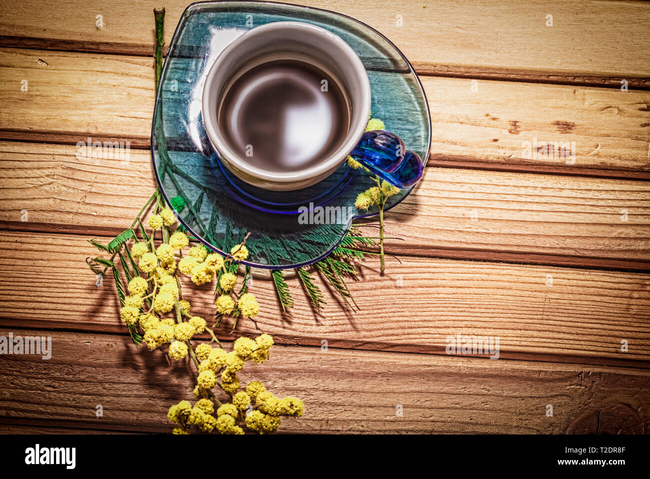 Brin de mimosa avec café dans une tasse sur une table en bois Banque D'Images