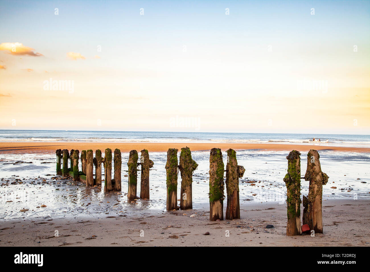Bois épis sur la plage au sable fin, Whitby, North Yorkshire Coast, Angleterre Banque D'Images