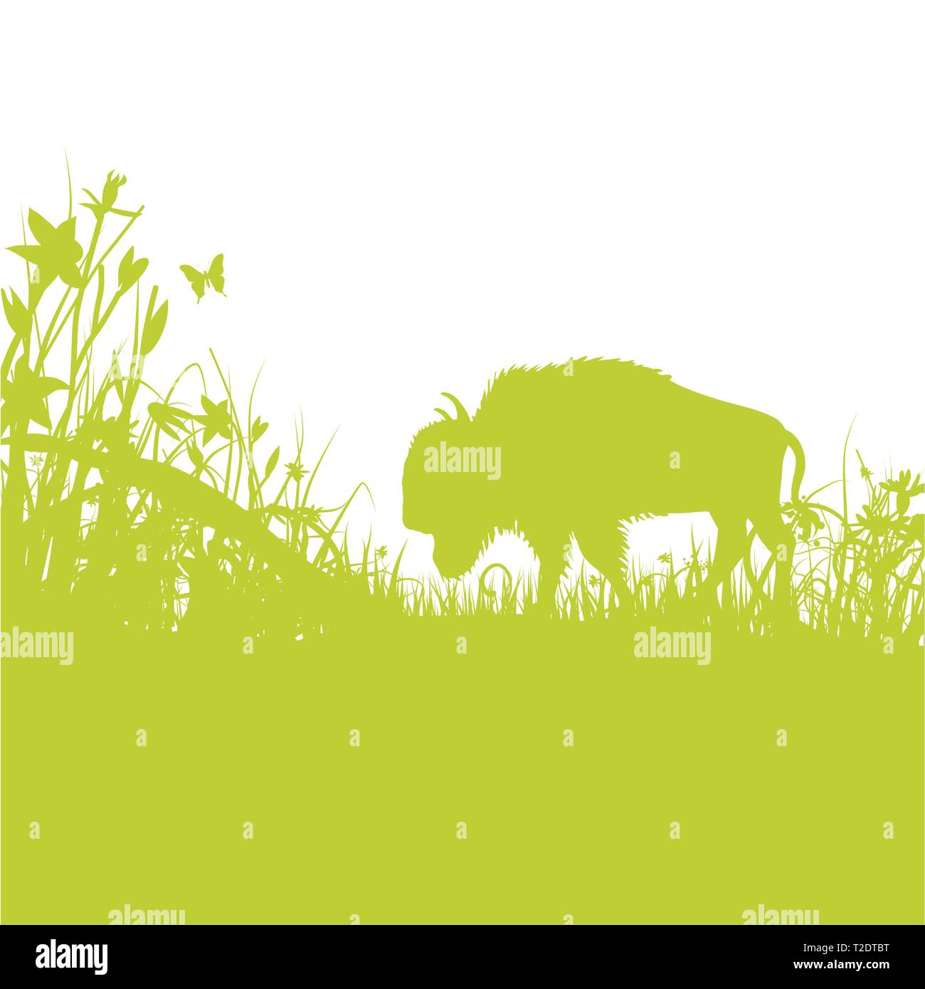 Buffalo sur le vert prairie Illustration de Vecteur
