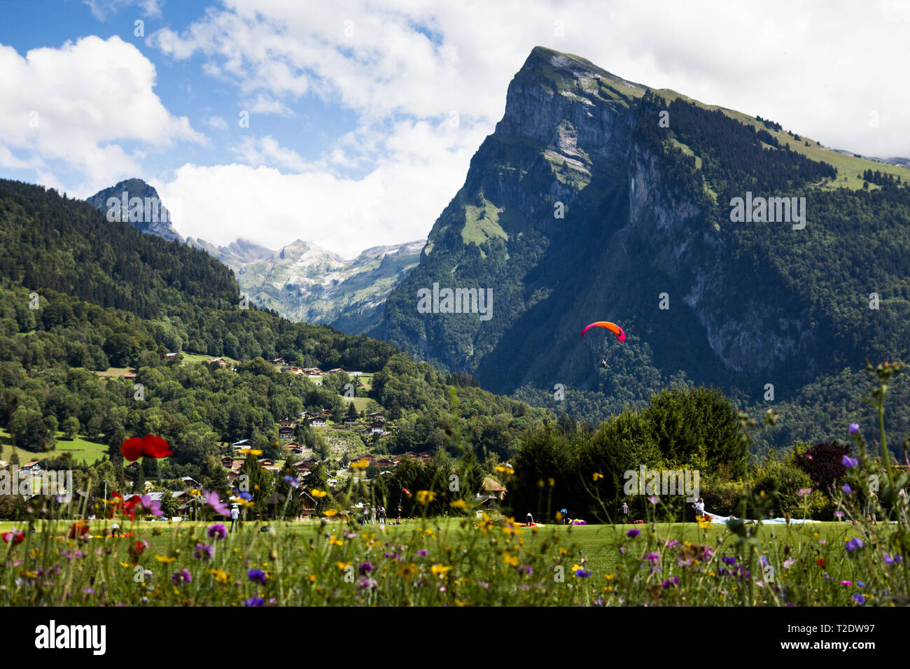 Le Parapente à Samoens, France Banque D'Images