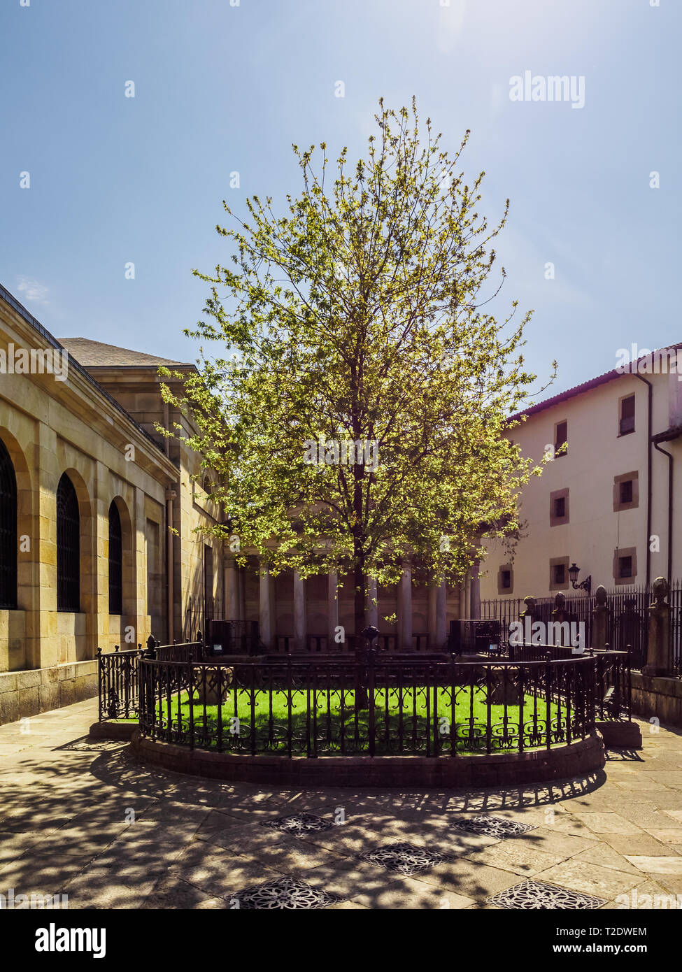 L'arbre de Guernica (Gernika), Pays Basque. Journée ensoleillée Banque D'Images
