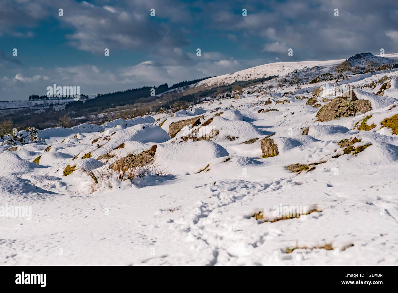 Un hiver enneigé sur Dartmoor, Devon, Royaume-Uni. Banque D'Images