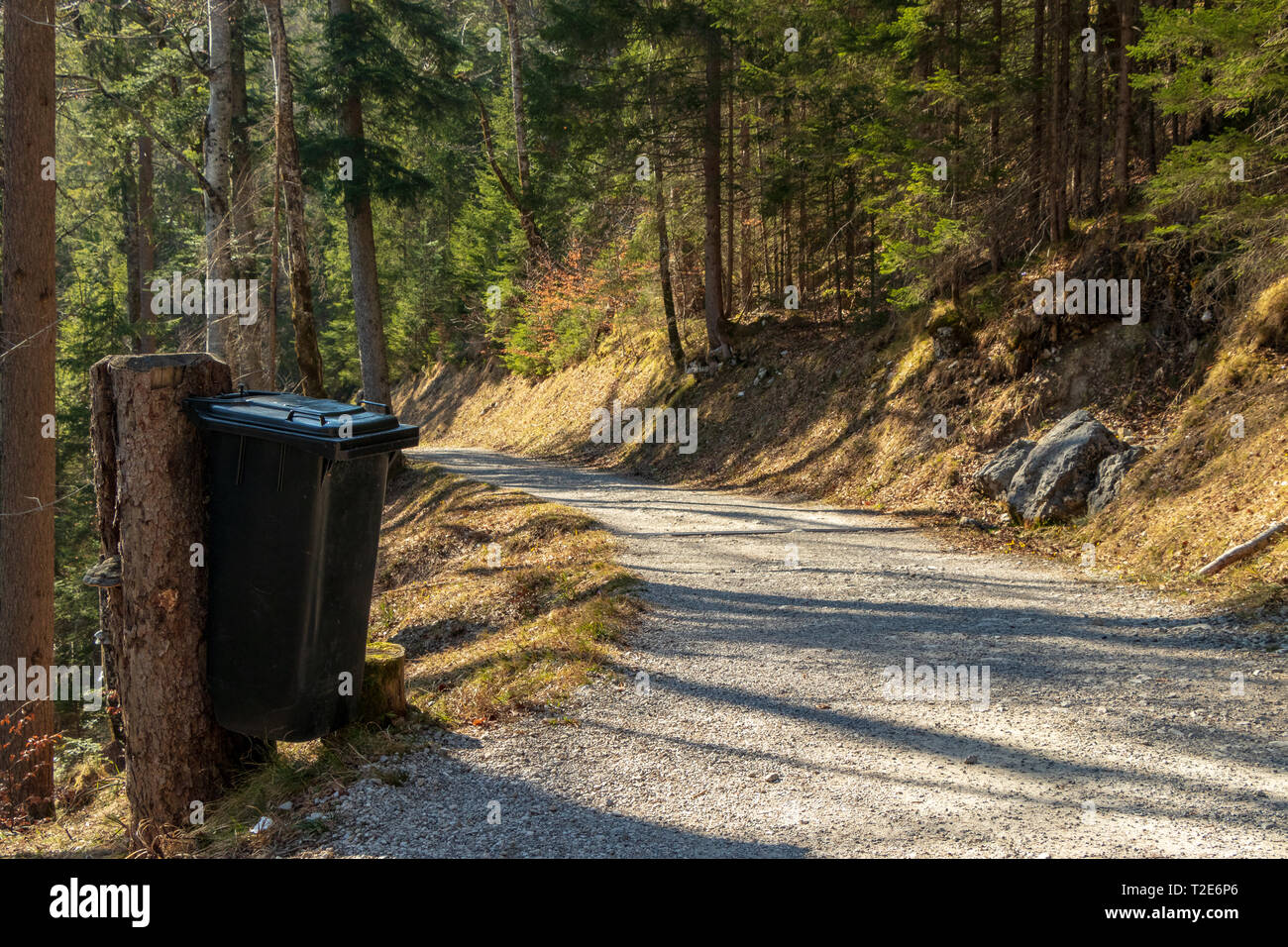 Allemagne, Eibsee, 31 mars 2019 : poubelle de la boucle seeweg piste avec une course à l'homme. Les poubelles sont répartis sur tout le endroit pour garder propre Banque D'Images