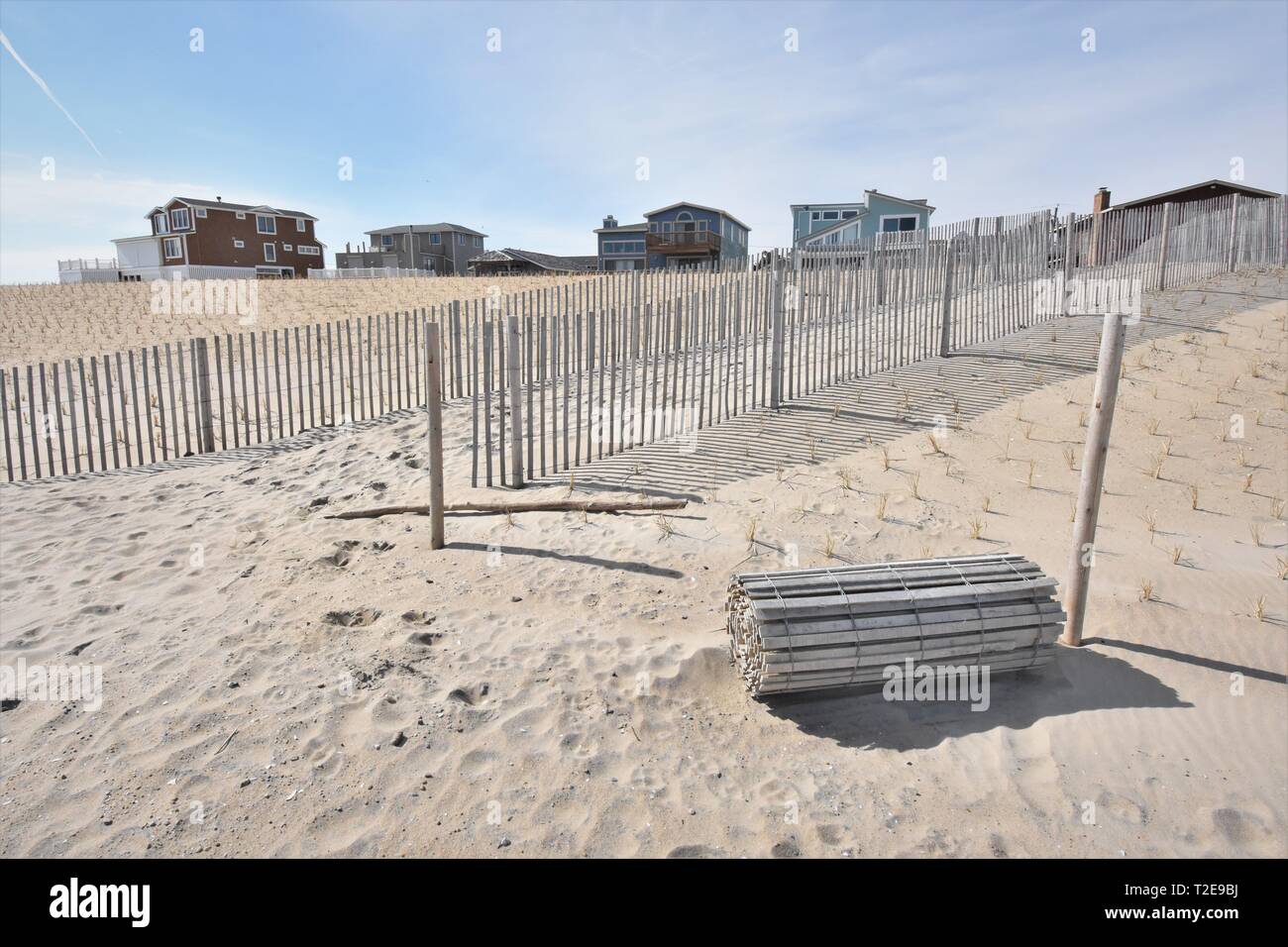Clôtures pour le contrôle de l'érosion éolienne sur la rive est du Maryland pour conserver la plage des dunes pour protections accueil sur le fil et latte, chaque année en hiver, USA Banque D'Images