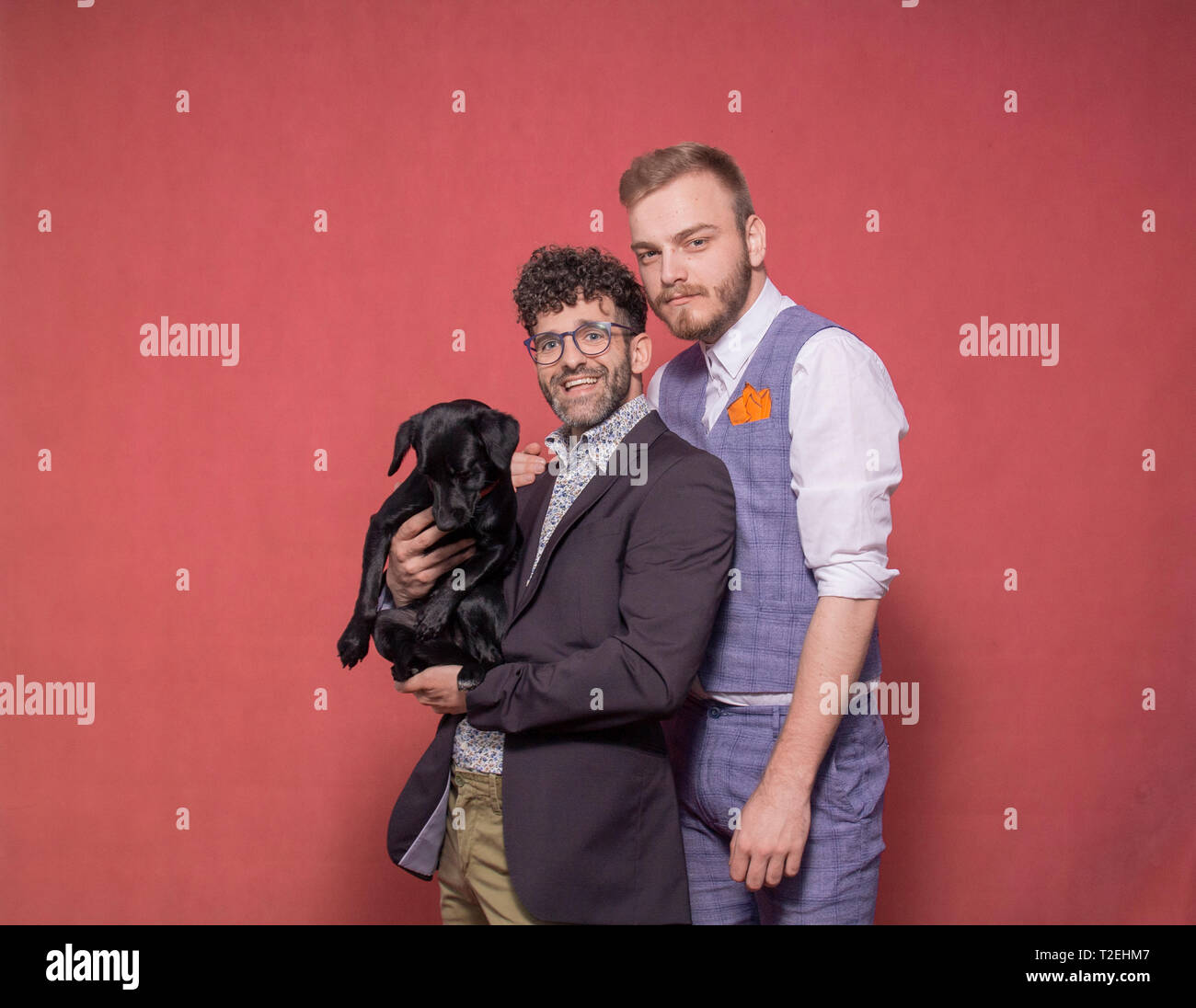 Couple gay photo-shoot en studio, tenant un chiot dans les bras. Banque D'Images