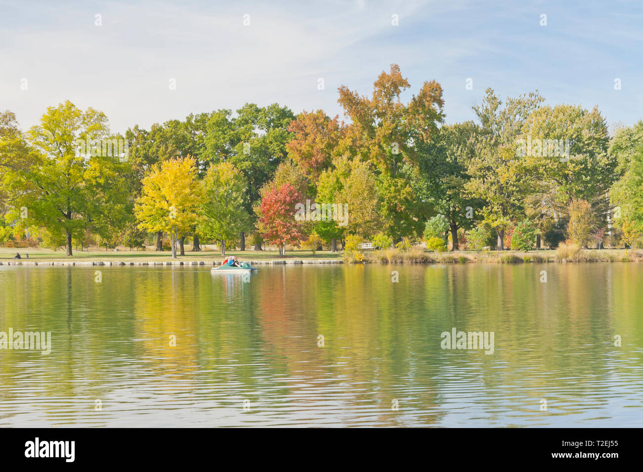 Un arbre liquidambar se distingue au-dessus des arbres à l'automne feuillage que quatre femmes profitez d'une balade en pédalo le Post-Dispatch Lake à St Louis Forest Park. Banque D'Images Un arbre liquidambar se distingue au-dessus des arbres à l'automne feuillage que quatre femmes profitez d'une balade en pédalo le Post-Dispatch Lake à St Louis Forest Park. Banque D'Images