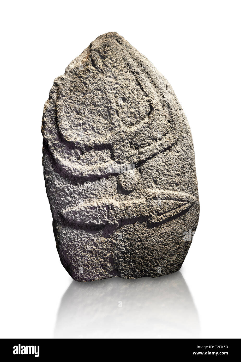 La fin de l'époque néolithique Menhir préhistorique standing stone de sculptures sur son côté face. La représentation d'un stylalised figure masculine commence à la Banque D'Images
