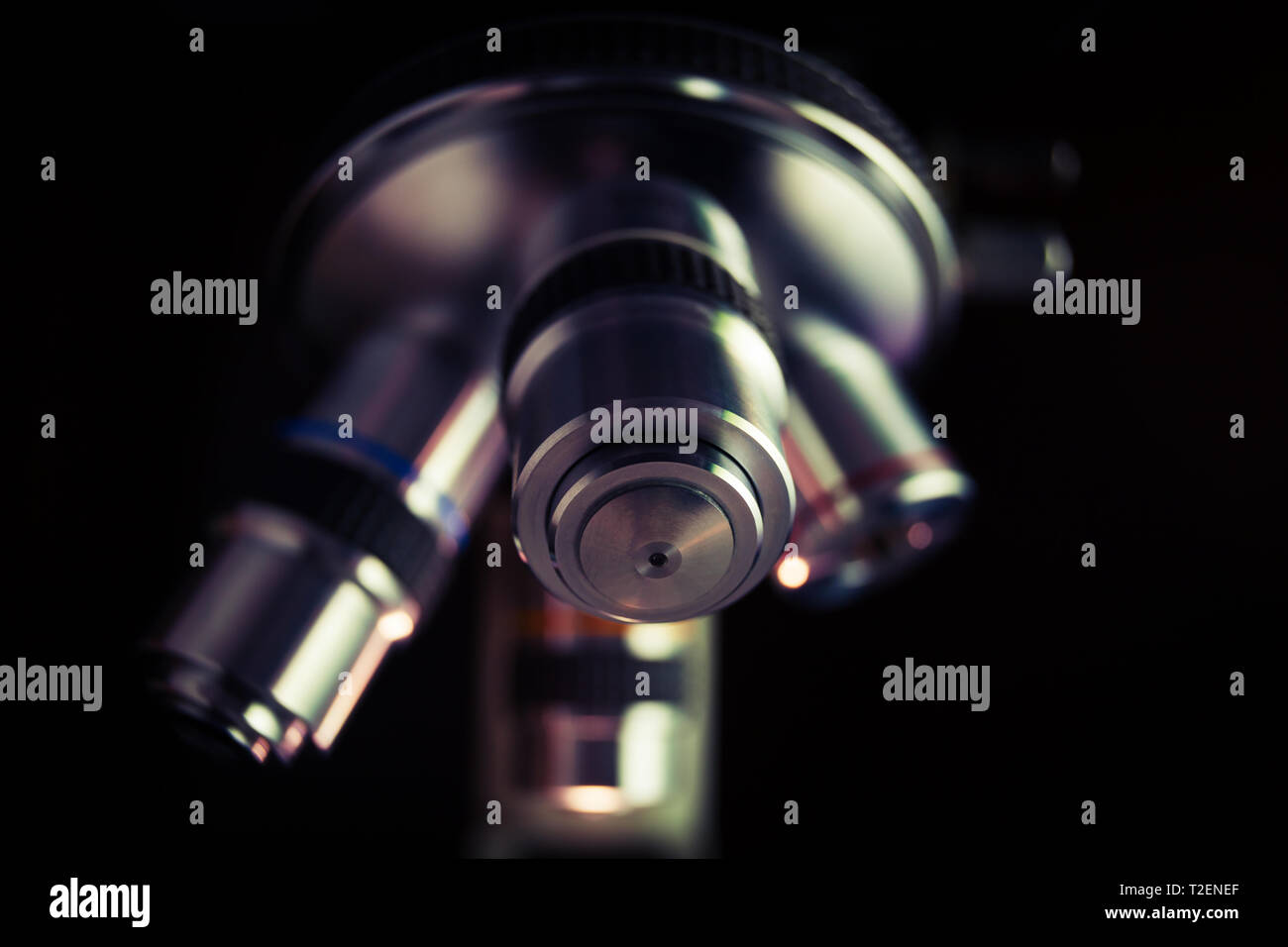 Microscope optique. Microscope est utilisé pour mener des expériences de recherche, prévues, des démonstrations éducatives dans les laboratoires médicaux et cliniques. Banque D'Images