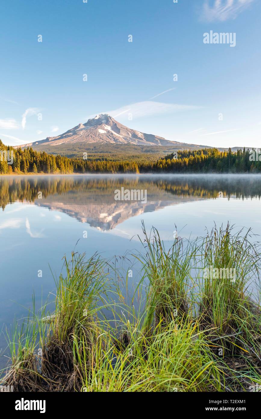 La réflexion du volcan Mt. Dans le lac des Bois lac Trillium, matin l'humeur, de l'Oregon, USA Banque D'Images