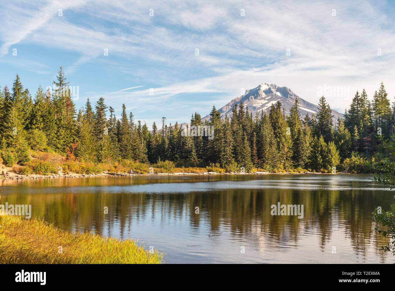 Le lac Miroir avec forêt, sommet du volcan retour Mt Hood, Oregon, USA Banque D'Images