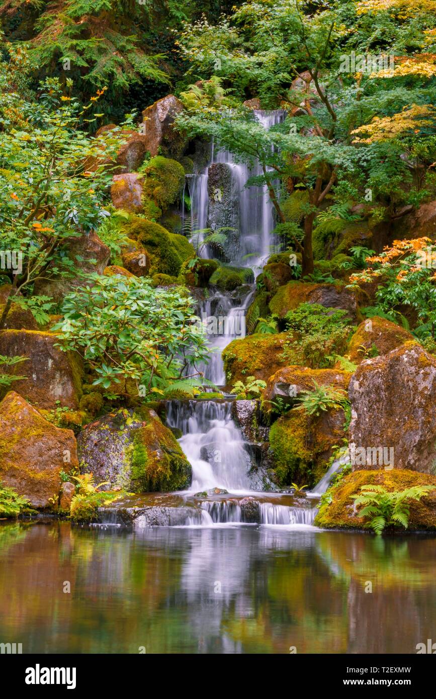 Étang avec une cascade, un jardin japonais, Portland, Oregon, USA Banque D'Images