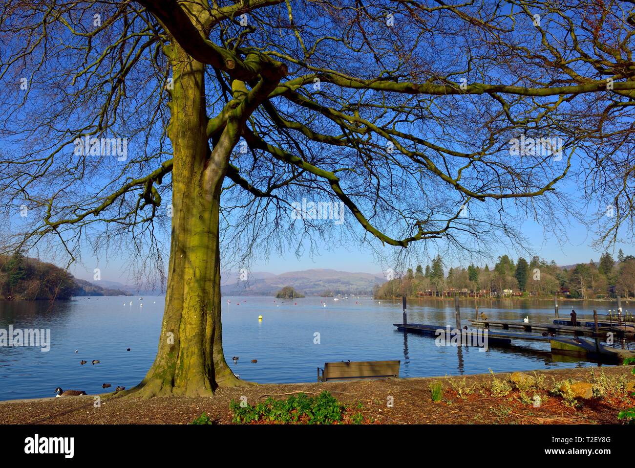 Le lac Windermere, Bowness on Windermere Lake District,,Cumbria, Angleterre, Royaume-Uni Banque D'Images Le lac Windermere, Bowness on Windermere Lake District,,Cumbria, Angleterre, Royaume-Uni Banque D'Images