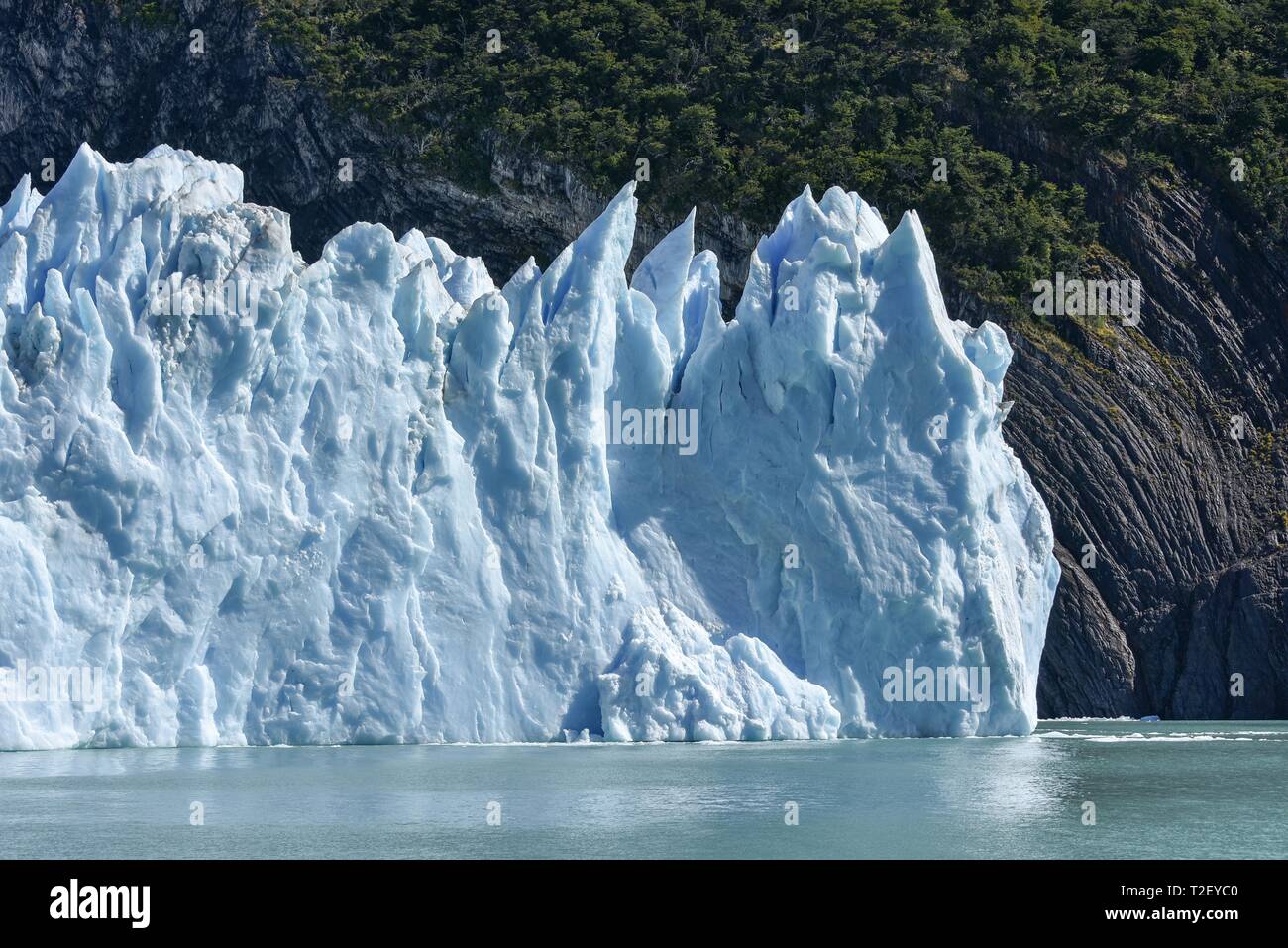 Langue du glacier, Glaciar Perito Moreno Glacier, abandonner l'edge, le Parc National Los Glaciares, Andes, El Calafate, Santa Cruz, en Patagonie, Argentine Banque D'Images