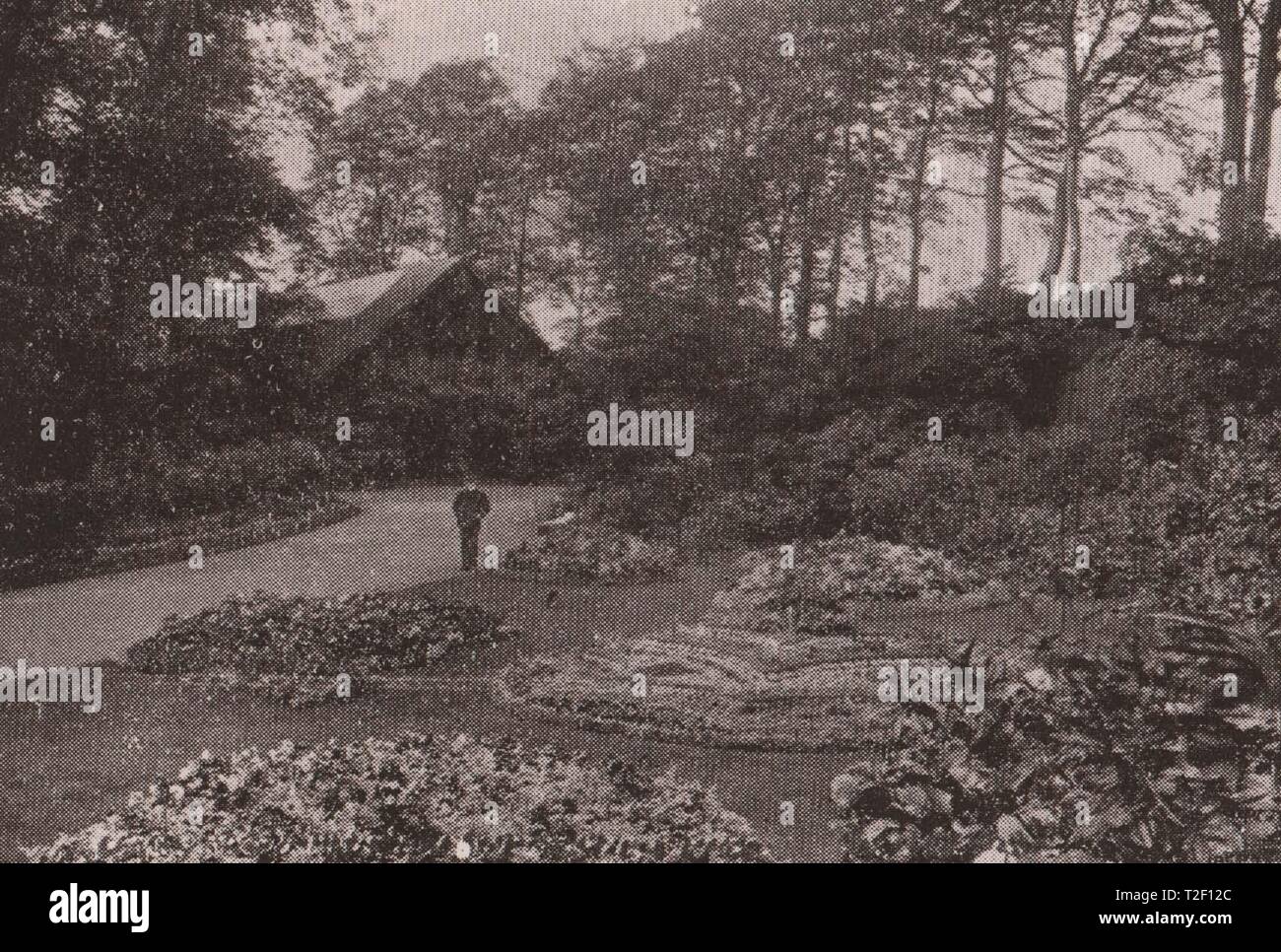 Fossil Grove House, Victoria, Partick PK. Banque D'Images