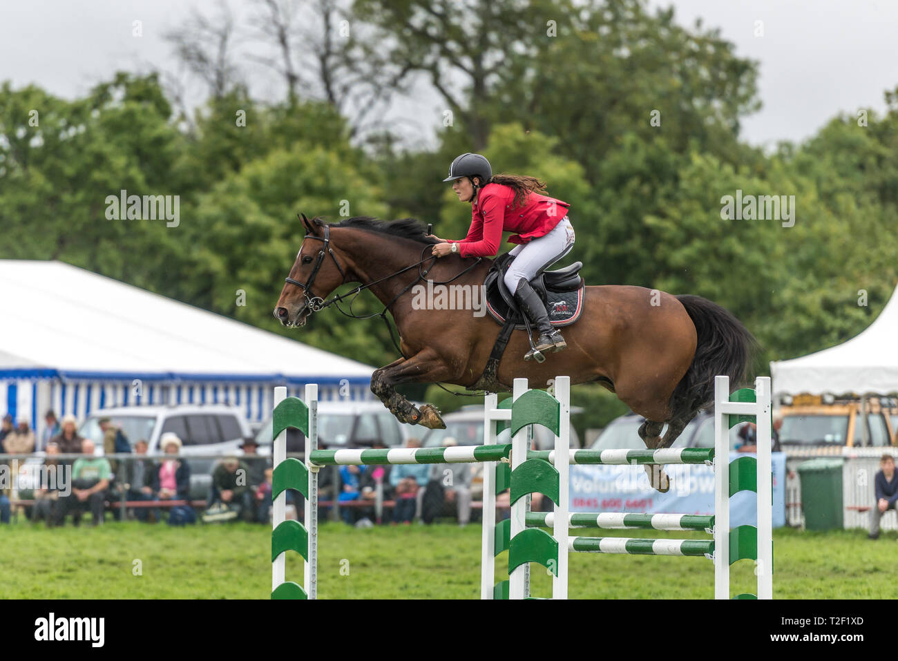 Edenbridge et Oxted Show Jumping Banque D'Images