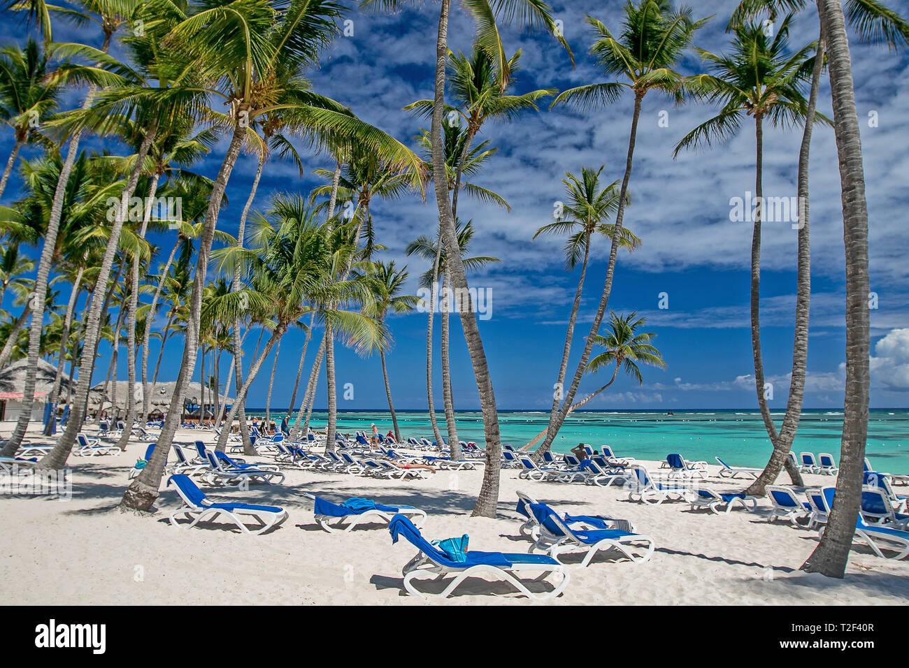 Chaises de bronzage avec des serviettes sur une plage tropicale. Banque D'Images