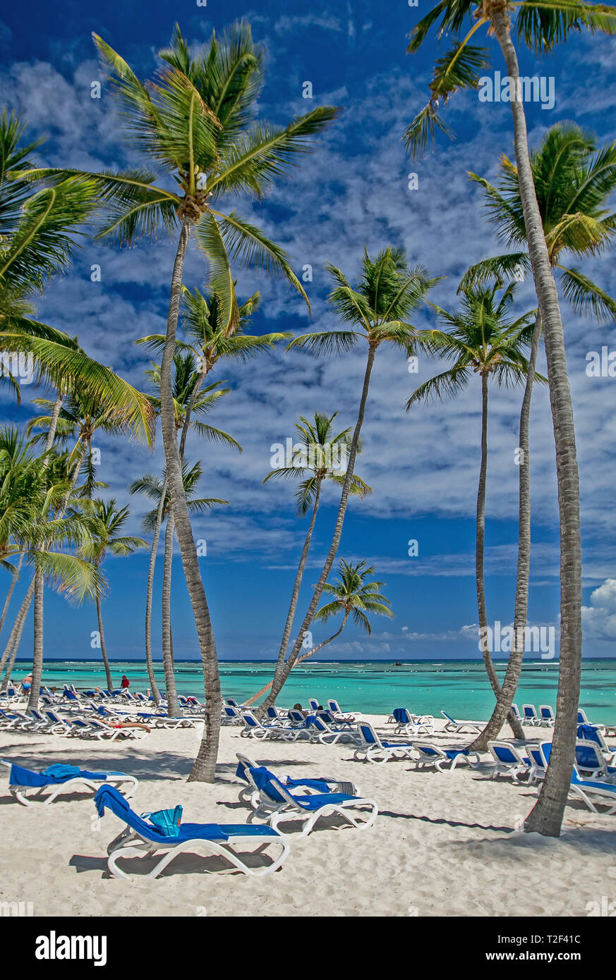 Chaises de bronzage avec des serviettes sur une plage tropicale. Banque D'Images