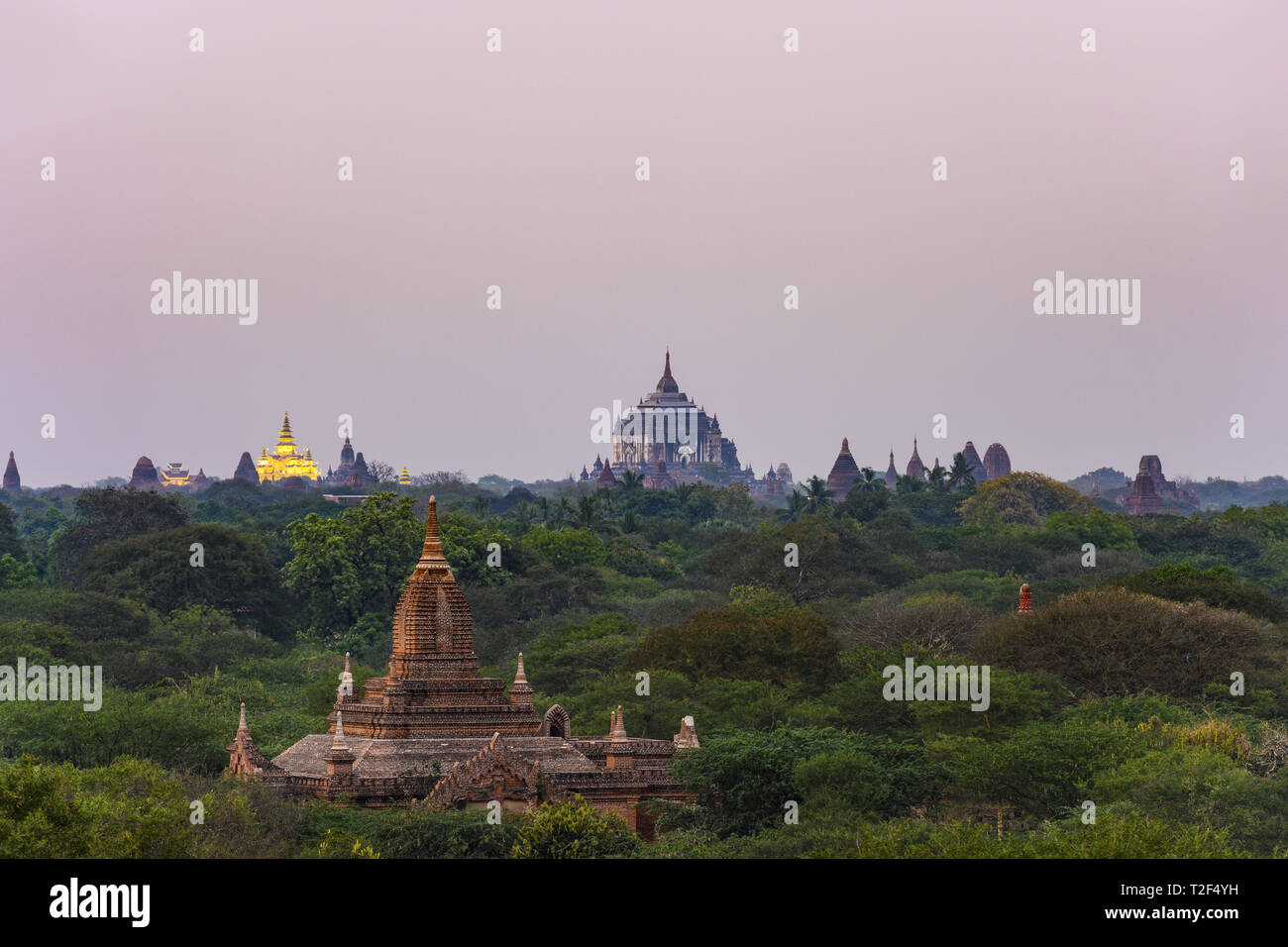 Vue imprenable sur la magnifique zone archéologique de Bagan avec le Temple Thatbyinnyu et le Golden Palace illuminé en arrière-plan pendant le coucher du soleil Banque D'Images