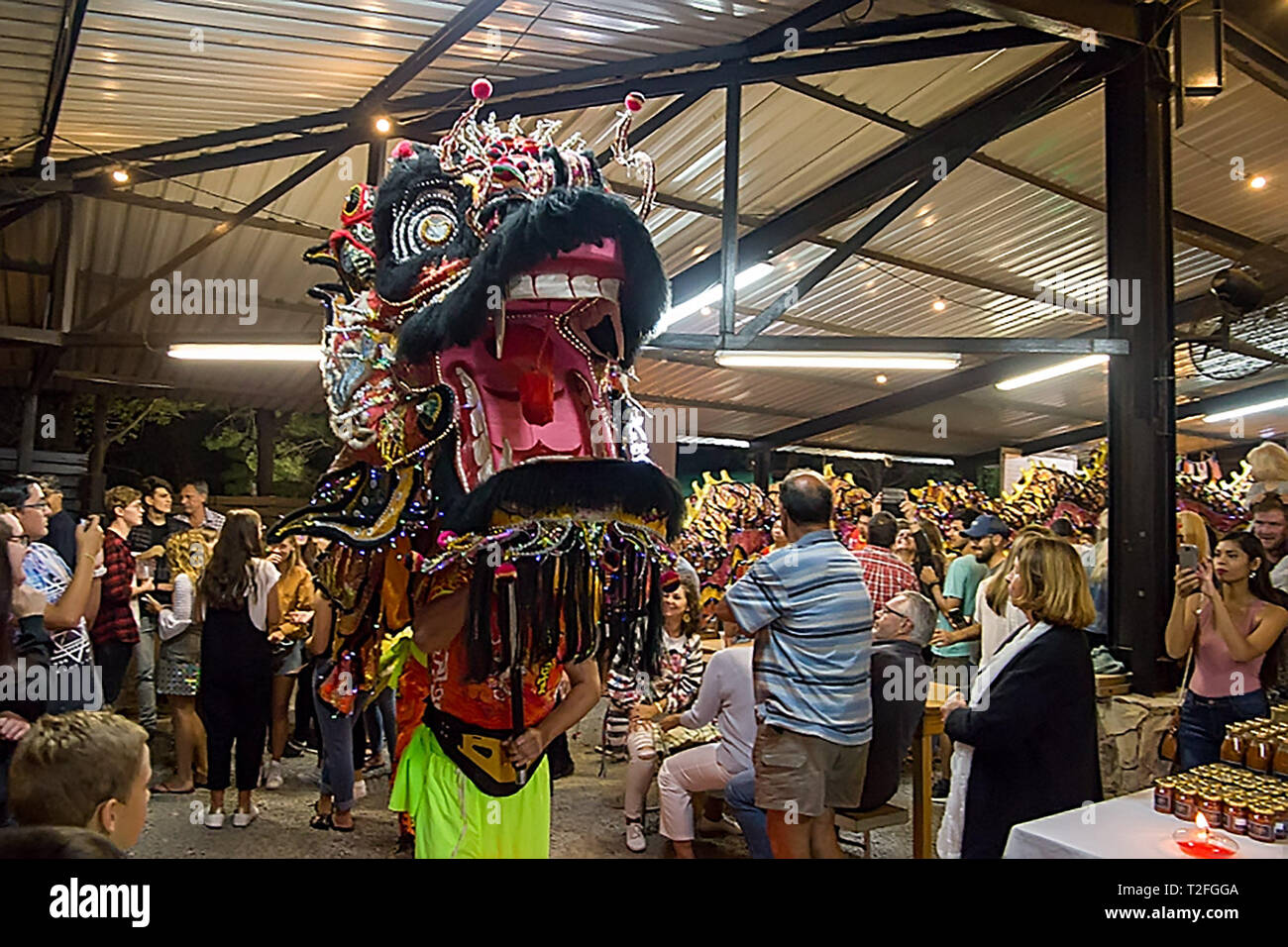 Cape Town, Afrique du Sud. Mar 29, 2019. Artistes effectuer une danse du dragon lors d'un festival de la culture chinoise à Laurensford Wine Estate, près de Cape Town, Afrique du Sud, le 29 mars 2019. Credit : Armando Herdade/Xinhua/Alamy Live News Banque D'Images