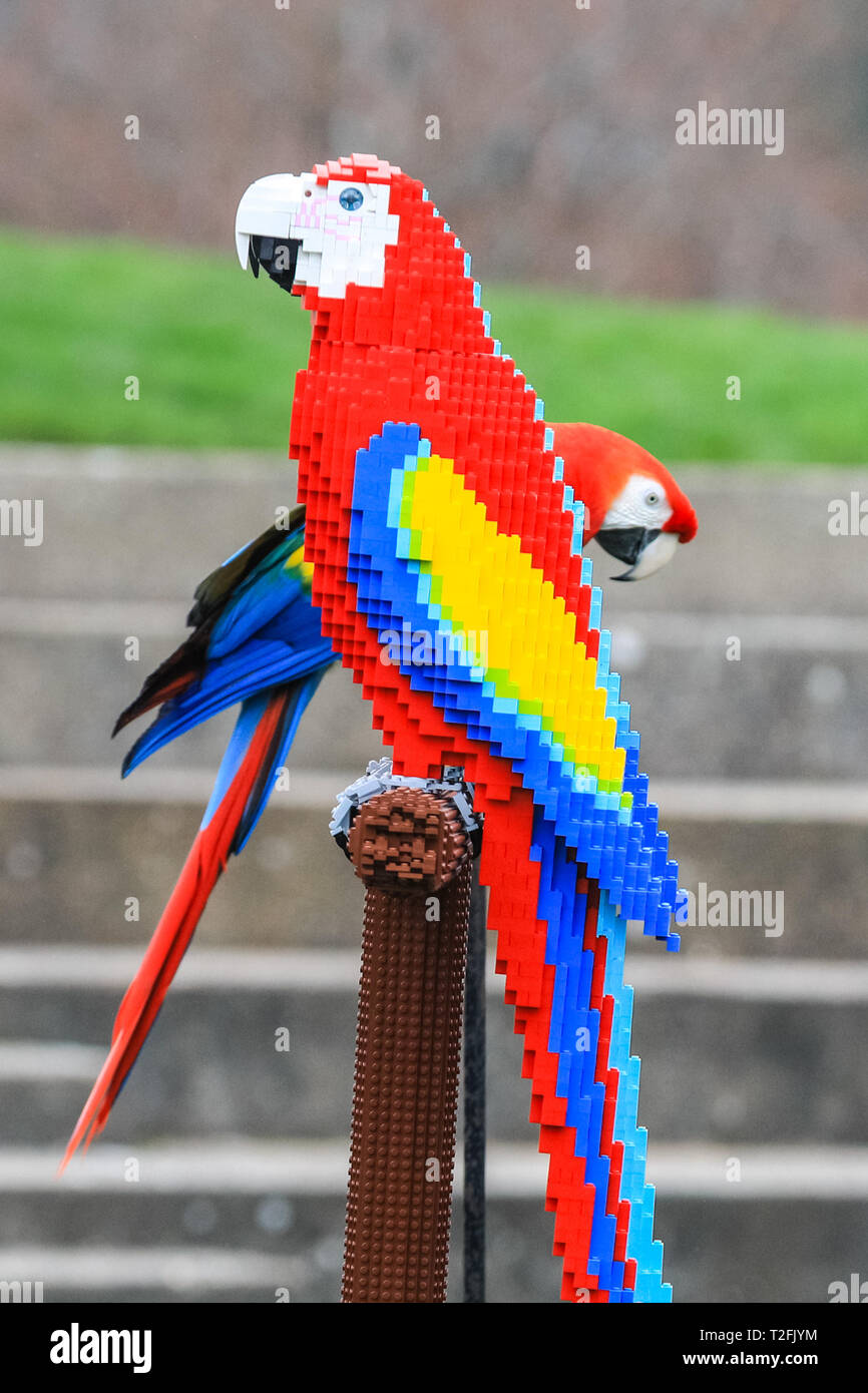 LEGO ANIMAL Oiseau Perroquet à Petit Bec Rouge Marbré