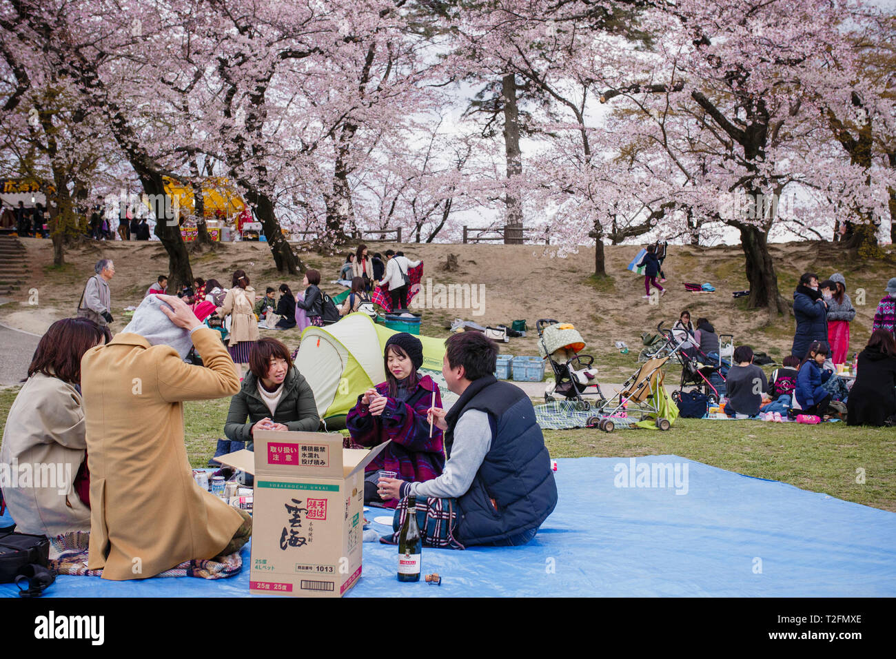 Okazaki, Aichi, Japon. 2ème apr 2019. Vu les personnes bénéficiant d'une fleur de cerisier pendant le festival.Le printemps arrive et 800 ''sakura'' des cerisiers se propager dans la zone autour de Château Okazaki montrant leurs couleurs avec fierté, ajoutant à l'air de fête de l'endroit, il y a aussi d'innombrables attractions et des aliments traditionnels cale, le ''Yatai'', l'alignement du bord du fleuve Oto Crédit : Takahiro Yoshida SOPA/Images/ZUMA/Alamy Fil Live News Banque D'Images
