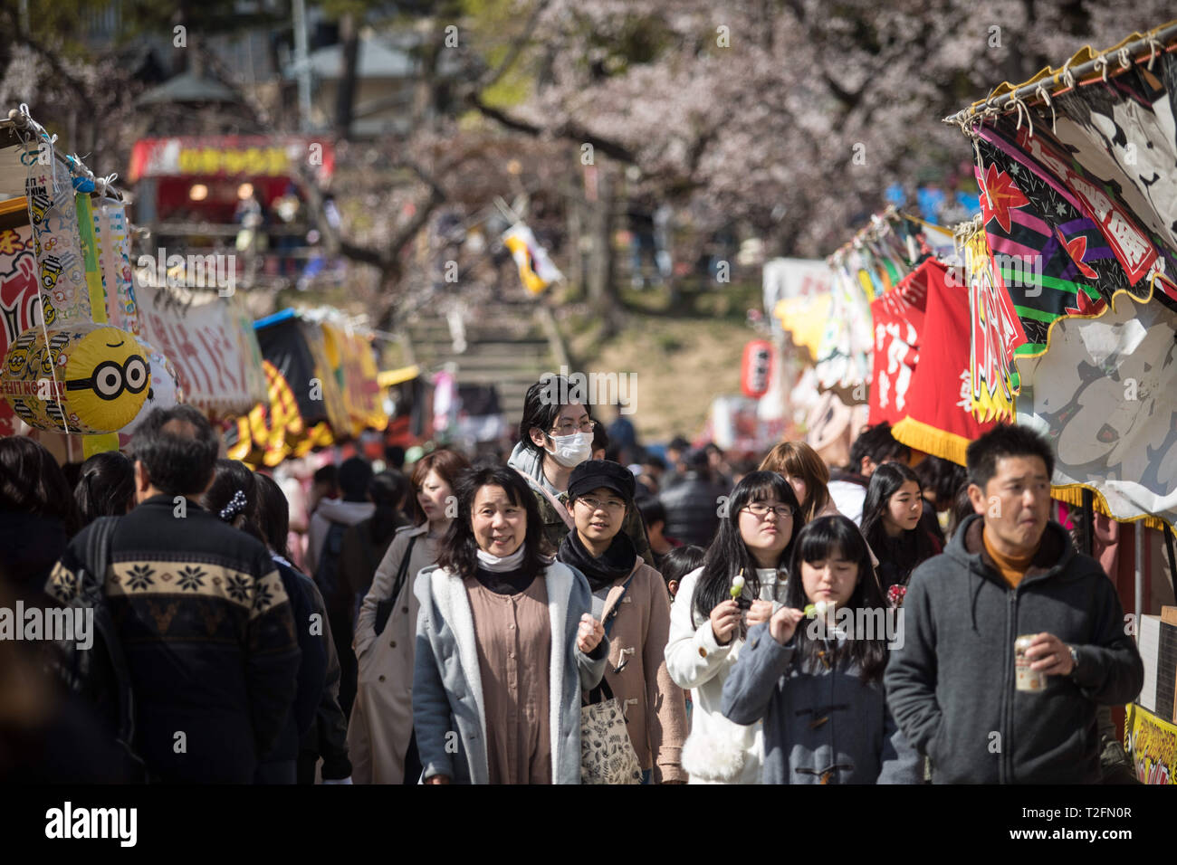 Okazaki, Aichi, Japon. 2ème apr 2019. Vu les personnes bénéficiant d'une fleur de cerisier pendant le festival.Le printemps arrive et 800 ''sakura'' des cerisiers se propager dans la zone autour de Château Okazaki montrant leurs couleurs avec fierté, ajoutant à l'air de fête de l'endroit, il y a aussi d'innombrables attractions et des aliments traditionnels cale, le ''Yatai'', l'alignement du bord du fleuve Oto Crédit : Takahiro Yoshida SOPA/Images/ZUMA/Alamy Fil Live News Banque D'Images