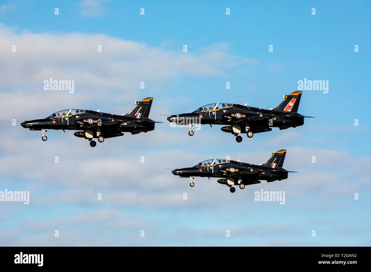 RAF Hawks en formation. Banque D'Images