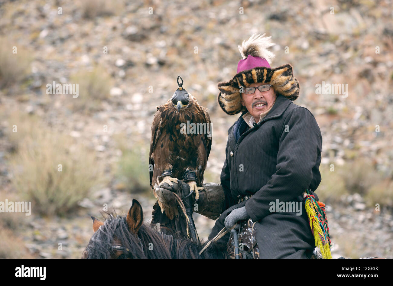 Bayan Ulgii, Mongolie, 3 octobre 2015 : kazakh eagle hunter avec son aigle au repos dans les montagnes Banque D'Images