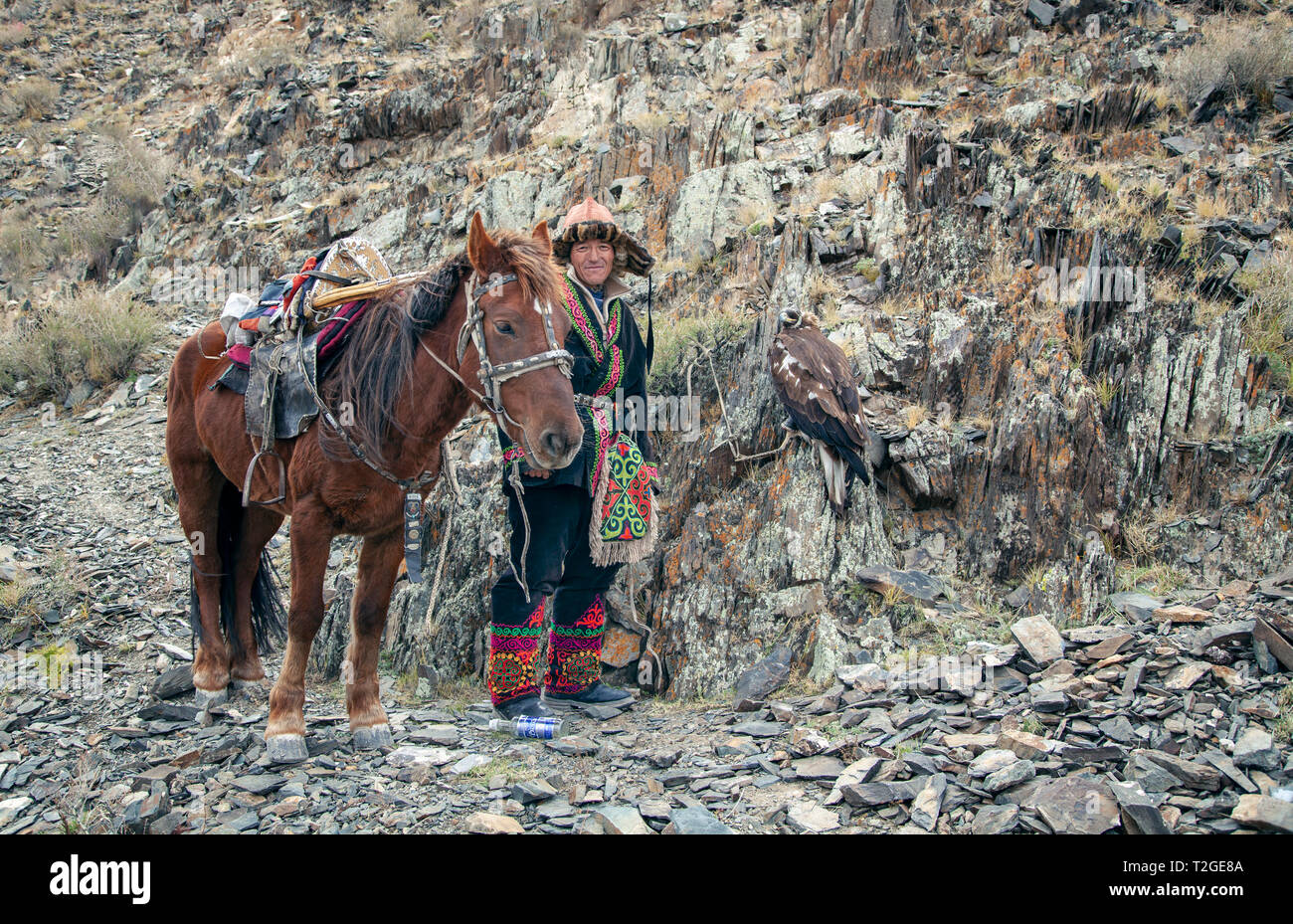 Bayan Ulgii, Mongolie, 3 octobre 2015 : kazakh eagle hunter avec son cheval et l'aigle au repos dans les montagnes Banque D'Images