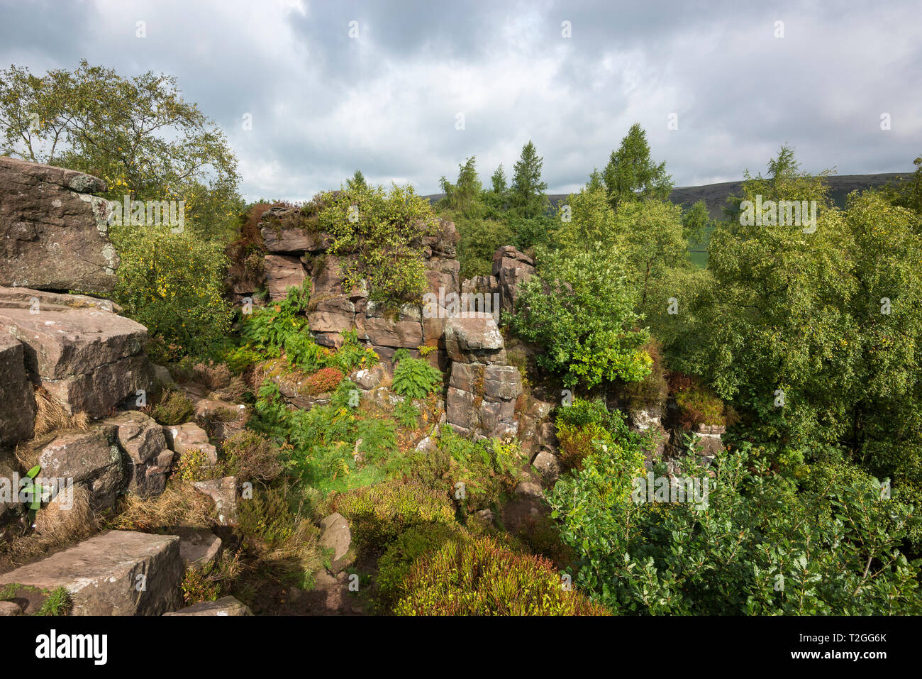 En pierre meulière rocheux près de Woodland Gradbach, Staffordshire, Angleterre. Populaires dans la zone de vallée de Dane, près de les blattes. Banque D'Images