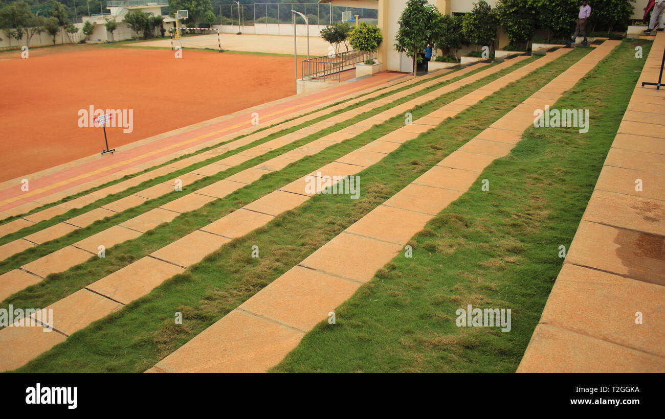 Étapes de l'École de large avec l'herbe et des arbres dans l'école publique Excel Mysore Banque D'Images
