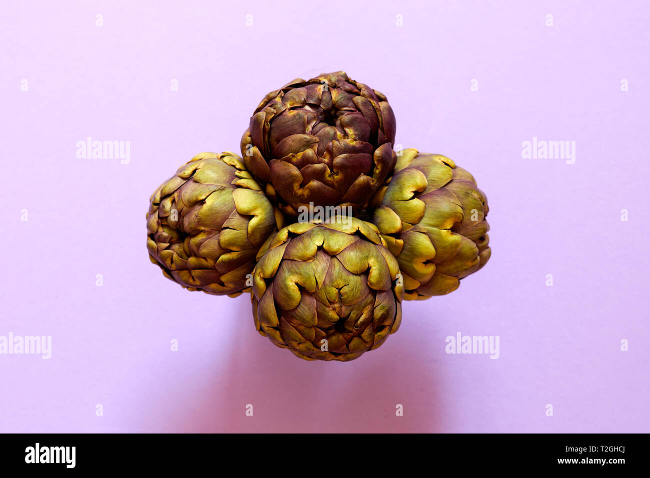 Groupe de 4 Artichauts isolées de ci-dessus sur un fond violet concept flatlay Banque D'Images