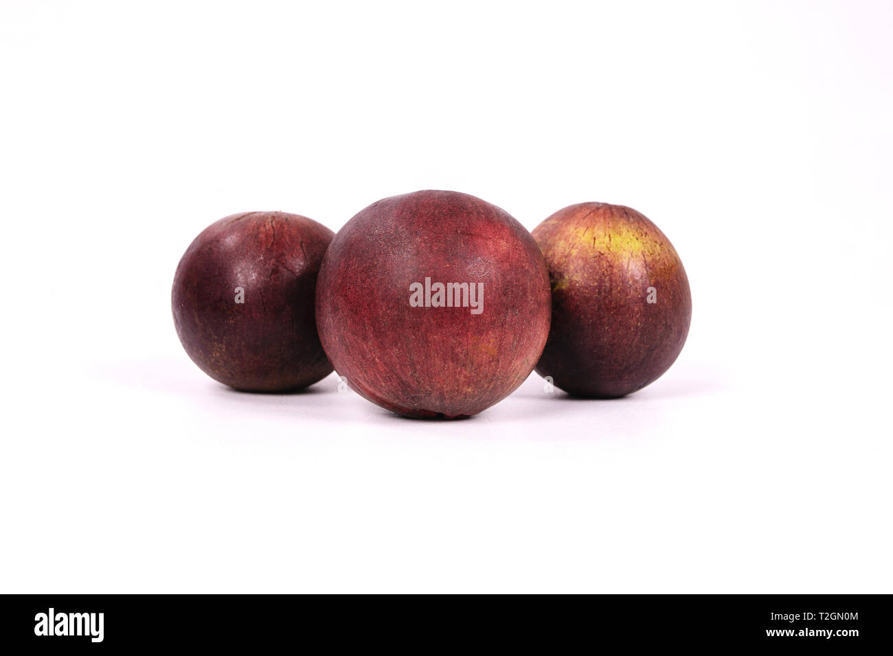 Caimito trois fruits sur une surface blanche Banque D'Images