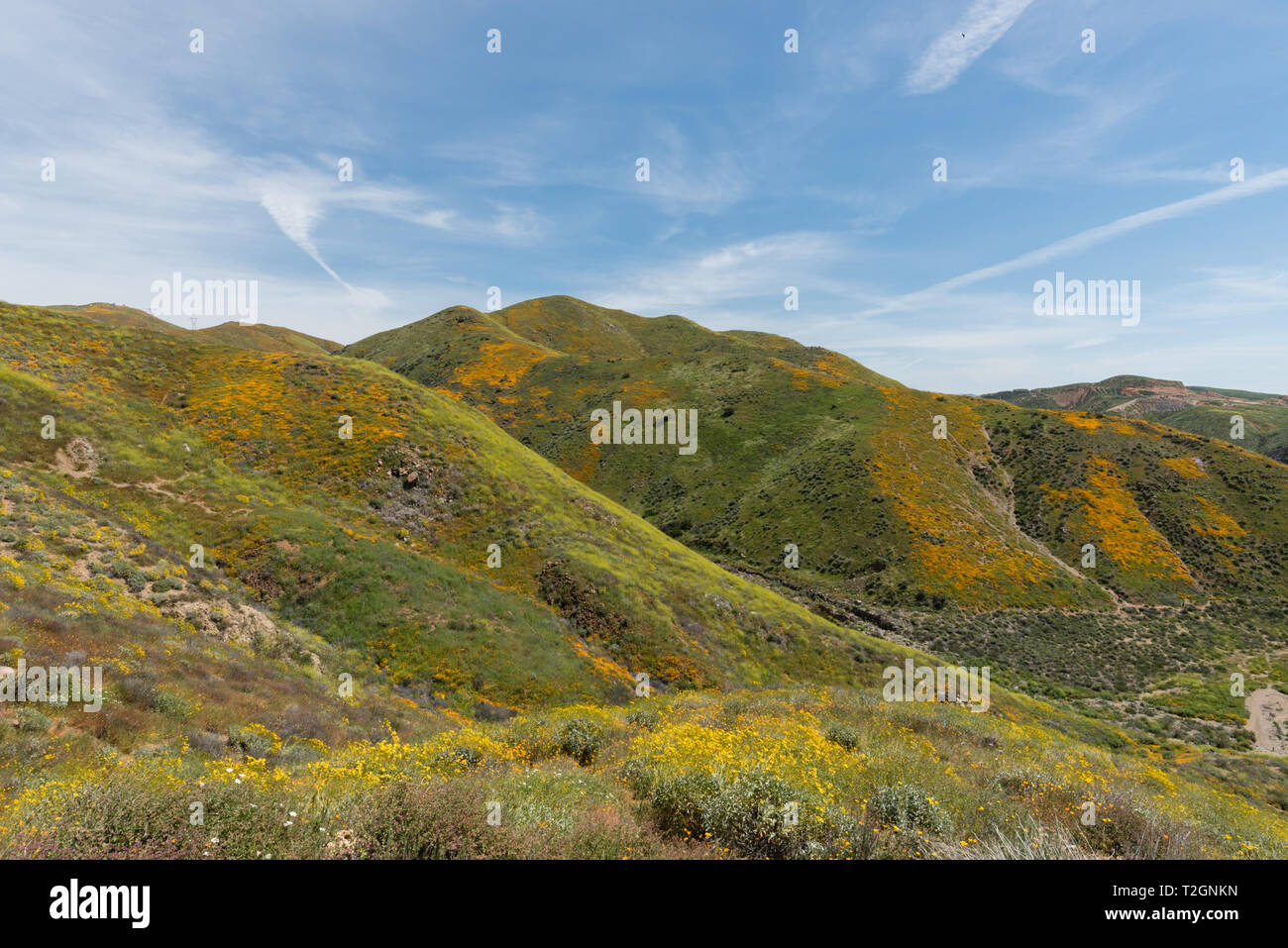 Bel superbloom vista dans une chaîne de montagnes près de Lake Elsinore, Californie du Sud Banque D'Images