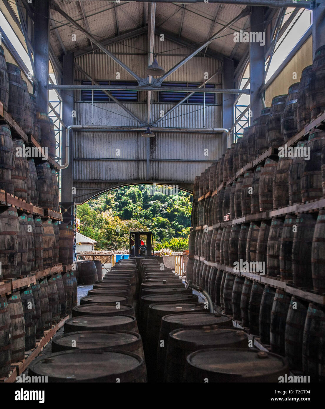 Distillery rhum barrel Banque de photographies et d’images à haute ...