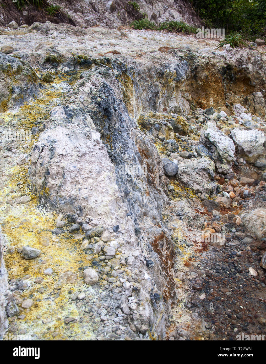 Printemps volcaniques hydrothermales sulfureuses, vallée de la désolation ,Morne Trois Pitons national park,la Dominique. Banque D'Images