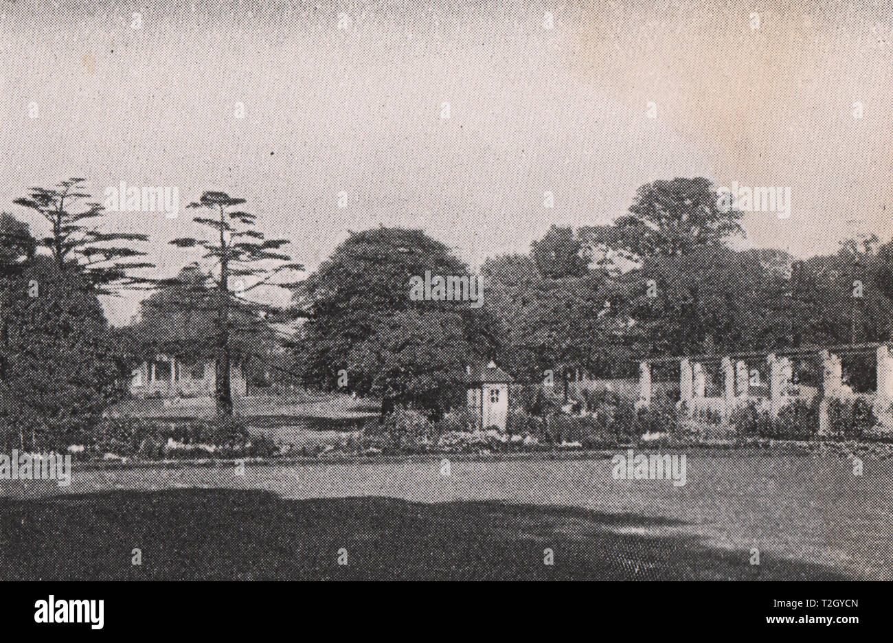 Ancien hôtel particulier et des Cèdres, Ruskin Park Banque D'Images